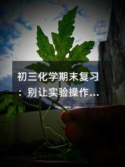 �������W��ĩ�������e׌�����������ɞ����п�·�ϵġ��O�_ʯ��