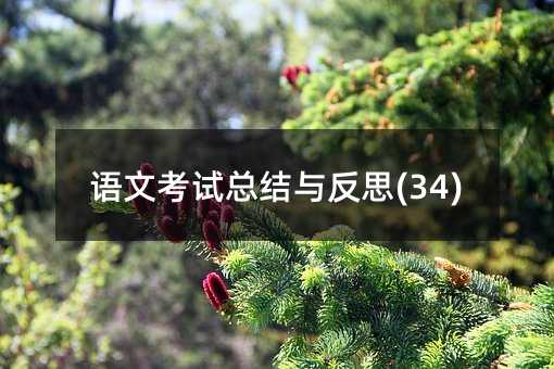 語文考試總結(jié)與反思(34)