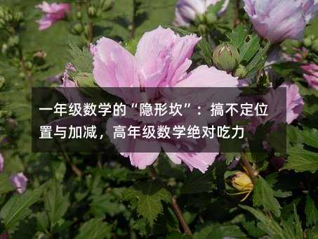 一年級數學的“隱形坎”:搞不定位置與加減,高年級數學絕對吃力