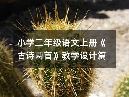 С�W���꼉�Z���σԡ���Ԋ���ס��̌W�OӋƪ