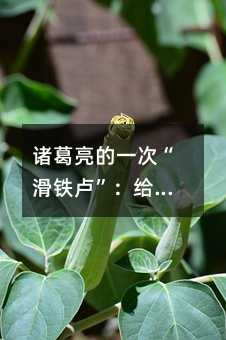 諸葛亮的一次“滑鐵盧”:給中國家長的三個教育警示