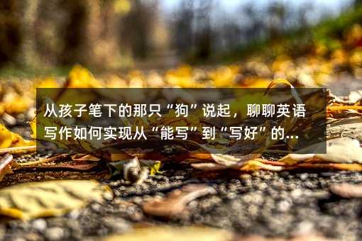 �ĺ��ӹP�µ���ֻ�������f��������Ӣ�Z������Ό��F�ġ��܌����������á��Ŀ�Խ