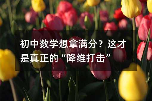 ���Д�(sh��)�W(xu��)���ÝM�֣��@���������ġ����S�����