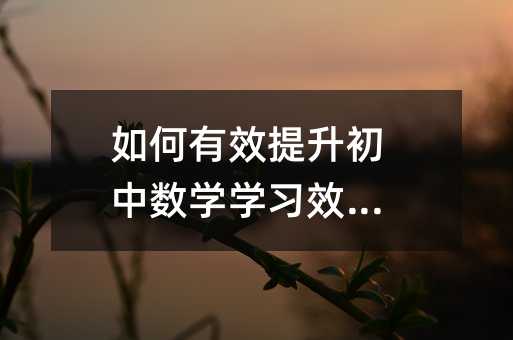 如何有效提升初中數學學習效果?
