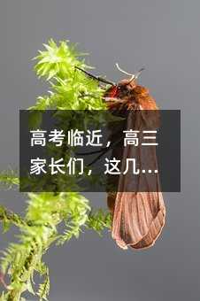 �߿��R�����������L�����@��헜ʂ乤����Ҫ��������