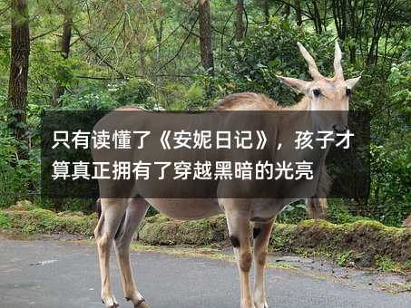 只有讀懂了《安妮日記》,孩子才算真正擁有了穿越黑暗的光亮