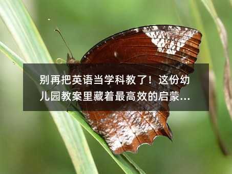 別再把英語當學科教了!這份幼兒園教案里藏著最高效的啟蒙邏輯