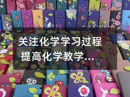 關注化學學習過程 提高化學教學效率
