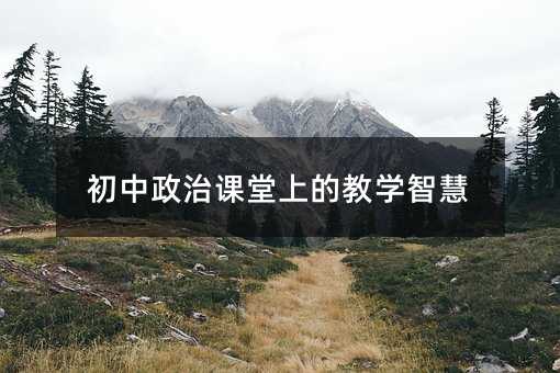 初中政治課堂上的教學(xué)智慧