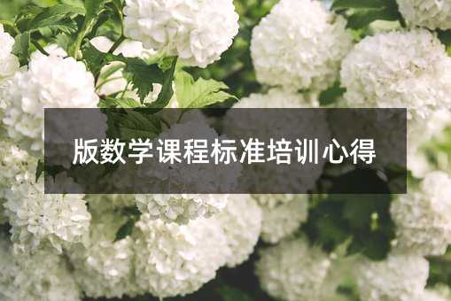 版數學課程標準培訓心得