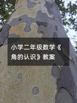 小學(xué)二年級(jí)數(shù)學(xué)《角的認(rèn)識(shí)》教案