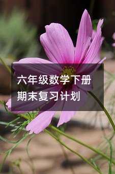六年級數學下冊期末復習計劃