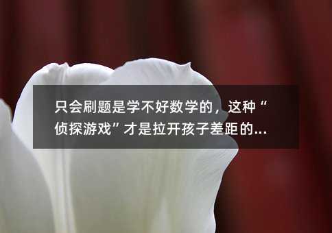 只會(huì)刷題是學(xué)不好數(shù)學(xué)的,這種“偵探游戲”才是拉開(kāi)孩子差距的關(guān)鍵