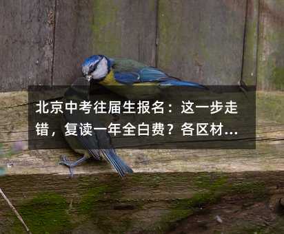 北京中考往屆生報名:這一步走錯,復讀一年全白費?各區材料清單深度解析