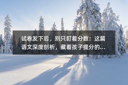 試卷發下后,別只盯著分數:這篇語文深度剖析,藏著孩子提分的真相