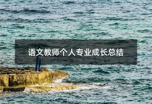 語文教師個人專業成長總結