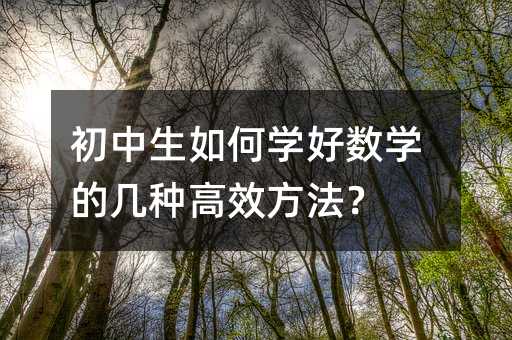 初中生如何學好數學的幾種高效方法?