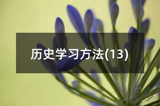 �vʷ�W(xu��)��(x��)����(13)