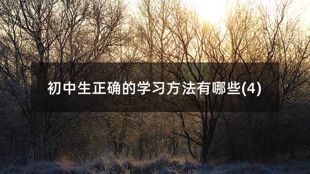 ���������_�ČW����������Щ(4)