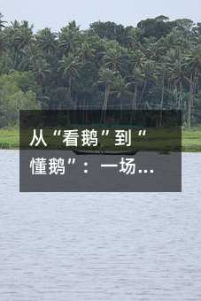 從“看鵝”到“懂鵝”:一場關(guān)于K12生物觀察力的深度訓(xùn)練