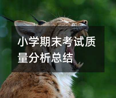 小學期末考試質量分析總結