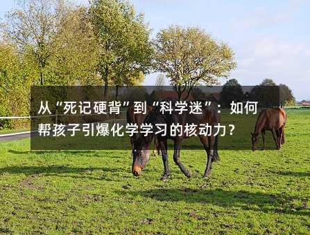 �ġ���ӛӲ���������ƌW�ԡ�����Ύͺ����������W�W���ĺ˄�����