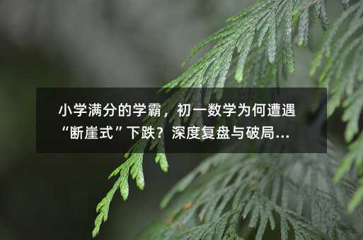 С�W�M�ֵČW������һ���W�������������ʽ���µ�����ȏͱP�c�ƾ�֮��