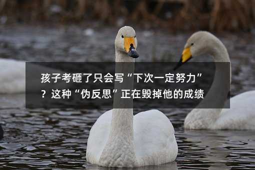 孩子考砸了只會寫“下次一定努力”?這種“偽反思”正在毀掉他的成績