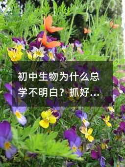 ���������ʲô���W�����ף�ץ���@�����h�����M���䌍���Ǽ��ϻ�