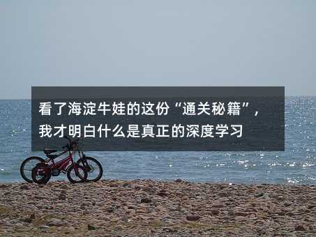 看了海淀牛娃的這份“通關秘籍”,我才明白什么是真正的深度學習