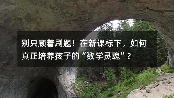 別只顧著刷題!在新課標下,如何真正培養孩子的“數學靈魂”?