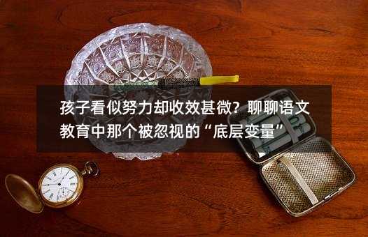 孩子看似努力卻收效甚微?聊聊語文教育中那個被忽視的“底層變量”