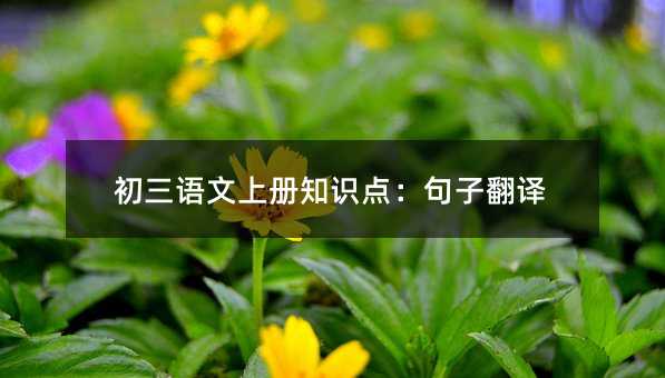 �����Z���σ�֪�R�c�����ӷ��g