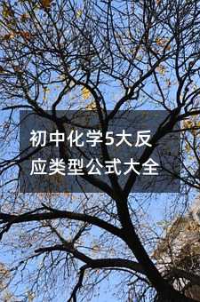 ���л��W5�󷴑���͹�ʽ��ȫ