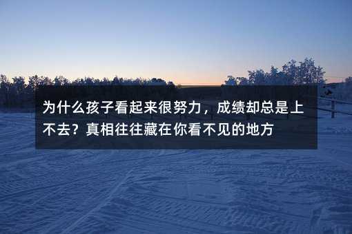 為什么孩子看起來很努力,成績卻總是上不去?真相往往藏在你看不見的地方