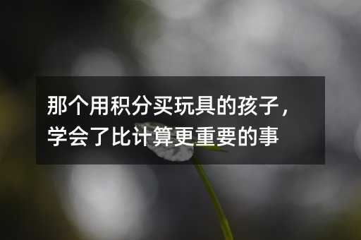 那個(gè)用積分買玩具的孩子,學(xué)會(huì)了比計(jì)算更重要的事