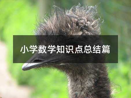 小學數(shù)學知識點總結(jié)篇