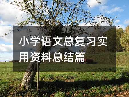 小學語文總復習實用資料總結篇