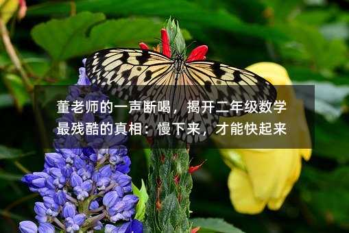 董老師的一聲斷喝,揭開(kāi)二年級(jí)數(shù)學(xué)最殘酷的真相:慢下來(lái),才能快起來(lái)