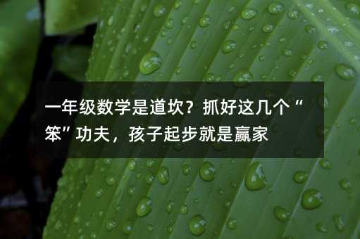 һ�꼉(j��)��(sh��)�W(xu��)�ǵ�����ץ���@�ׂ�(g��)���������򣬺����𲽾����A��