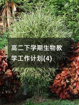 �߶��W������̌W����Ӌ��(4)