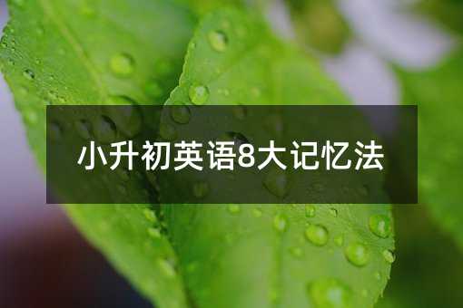 小升初英語8大記憶法