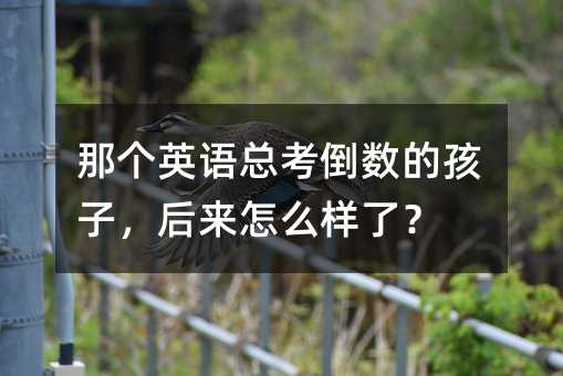 �ǂ�Ӣ�Z��������(sh��)�ĺ��ӣ������ô���ˣ�