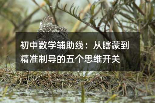 ���Д��W�o��������Ϲ�ɵ������ƌ����傀˼�S�_�P