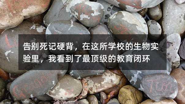 ��e��ӛӲ�������@���W(xu��)У�����(sh��)�(y��n)�����ҿ�������피�(j��)�Ľ����]�h(hu��n)