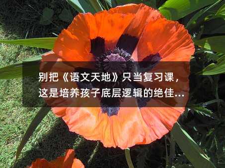 �e�ѡ��Z����ء�ֻ�������n���@�����B���ӵ׌�߉݋�Ľ^�љC��