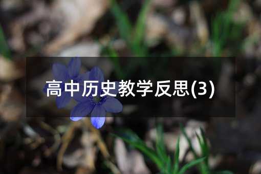 高中歷史教學反思(3)