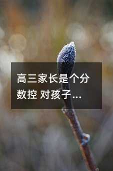 �������L�ǂ��֔�(sh��)�� ����������ЩӰ�?