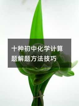 ʮ�N���л��WӋ���}���}��������