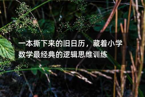 һ��˺�����f�՚v������С�W���W����߉݋˼�SӖ��